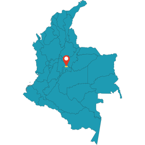 Bogota Col